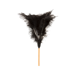Feather Duster Feather Duster